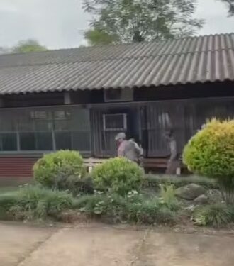 Adolescente de 15 anos é ferida com golpes de faca por colega em pátio de escola no RS