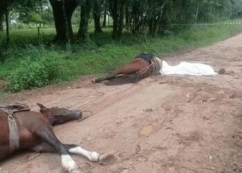 Jovem morre após tomar choque elétrico ao encostar em fio solto no interior do RS