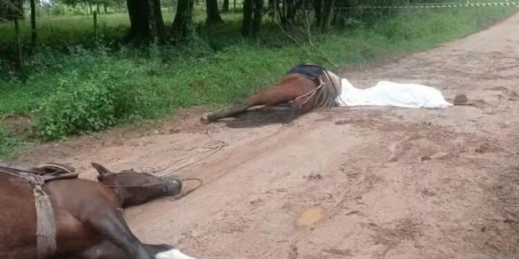 Jovem morre após tomar choque elétrico ao encostar em fio solto no interior do RS