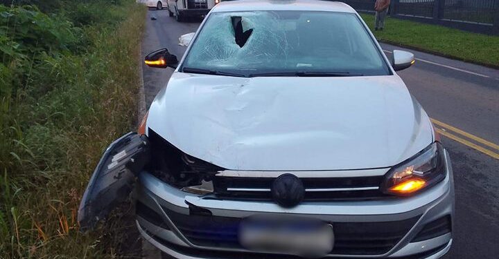 Idoso de 86 Anos e Seu Cachorro Morrem Atropelados por Táxi em Nova Petrópolis