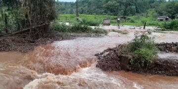 Agricultores gaúchos relatam perda de animais e da safra