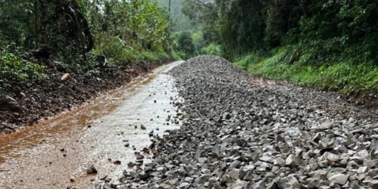 ERS-437 Entre Antônio Prado e Vila Flores Liberada para Veículos de Até 25 Toneladas