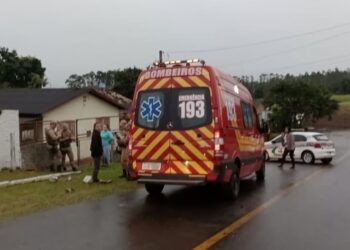 Trabalhador morre após ser atacado por pitbulls em Santa Catarina