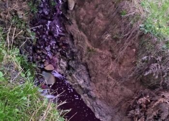 Moradores da Linha Salete em Nova Roma do Sul Avistam Vinho Saindo pelo Córrego