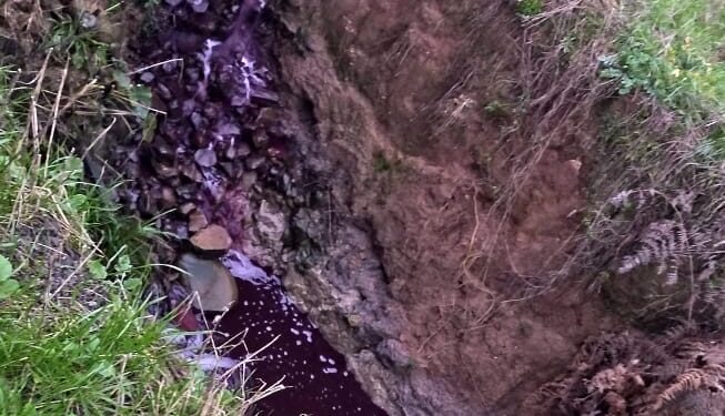 Moradores da Linha Salete em Nova Roma do Sul Avistam Vinho Saindo pelo Córrego