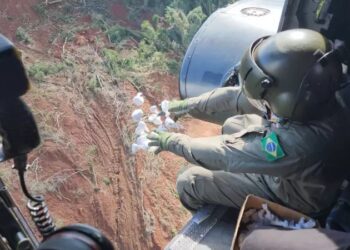 Cinco milhões de sementes são lançadas de helicóptero no Vale do Taquari para devolver a cobertura de vegetação nativa