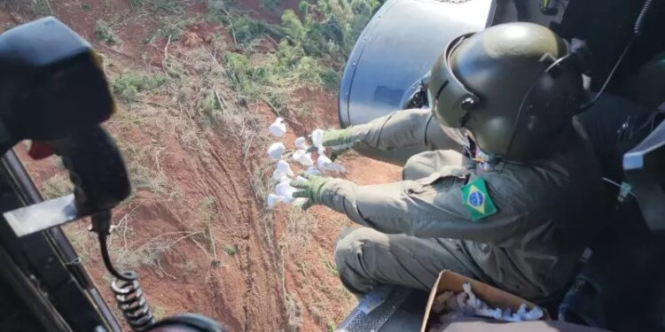 Cinco milhões de sementes são lançadas de helicóptero no Vale do Taquari para devolver a cobertura de vegetação nativa