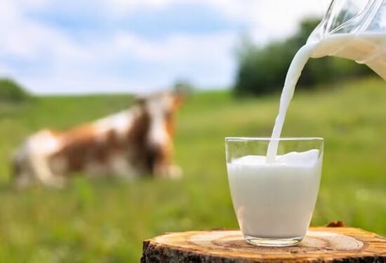 Preço do leite teve queda limitada em julho pela baixa oferta
