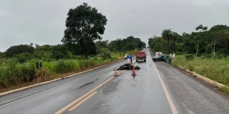 Condutor de moto atinge bovino e sofre ferimentos na RSC-287, em Venâncio Aires