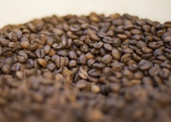 Agricultura manda recolher 16 marcas de cafés impróprios para consumo