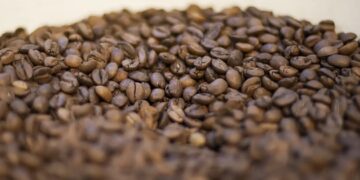 Agricultura manda recolher 16 marcas de cafés impróprios para consumo