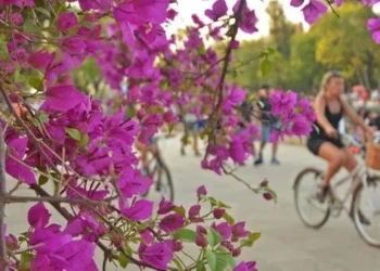 Setembro deve ser marcado por calor acima da média e menos chuva do que no ano passado