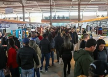 Pavilhão da Agricultura Familiar bate recorde e supera R$ 1 milhão em vendas no primeiro dia de Expointer