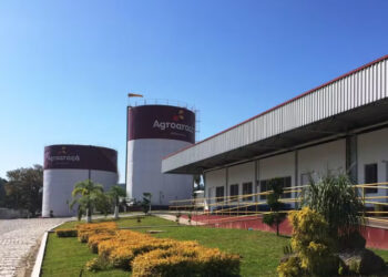 Frigorífico é condenado a pagar R$ 30 mil a auxiliar de produção que teria sido chamada de ‘negra fedida’ por colega no RS