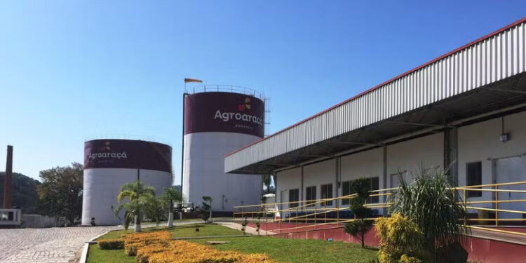 Frigorífico é condenado a pagar R$ 30 mil a auxiliar de produção que teria sido chamada de ‘negra fedida’ por colega no RS