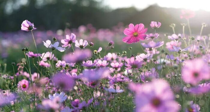 Setembro deve ser marcado por calor acima da média e menos chuva do que no ano passado