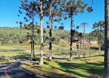 Corpo de bebê é encontrado em mata no interior do RS