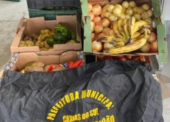 Fiscalização e Guarda Municipal apreendem mais de 200 quilos de alimentos irregulares no centro de Caxias do Sul