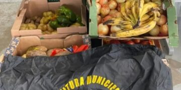 Fiscalização e Guarda Municipal apreendem mais de 200 quilos de alimentos irregulares no centro de Caxias do Sul