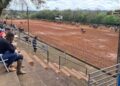 Ataque de abelhas durante rodeio leva quatro pessoas para hospital no RS; dois cavalos também foram atingidos