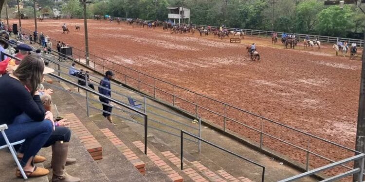 Ataque de abelhas durante rodeio leva quatro pessoas para hospital no RS; dois cavalos também foram atingidos