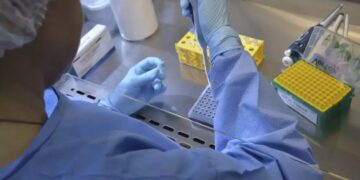 Nova variante do vírus Sars-CoV-2, que causa a Covid-19, é identificada em três Estados do Brasil