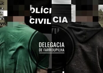 Policiais encontram ovelha dentro de Fiat Uno em Farroupilha; animal foi furtado