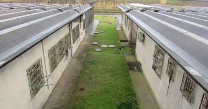 Justiça determina a interdição total da Penitenciária Estadual de Caxias do Sul