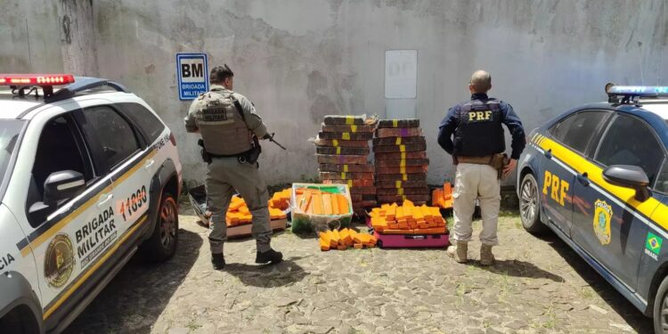 Polícia apreende mais de meia tonelada de maconha em Torres