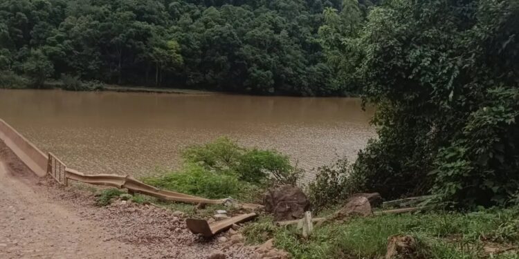 Caminhão Cai no Rio da Prata e Motorista Está Desaparecido