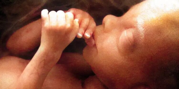 Feto é encontrado dentro de esgoto em Porto Alegre