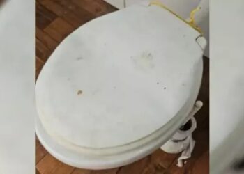 Homem é preso em flagrante por abusar de cadela em banheiro de residência em Arroio do Silva