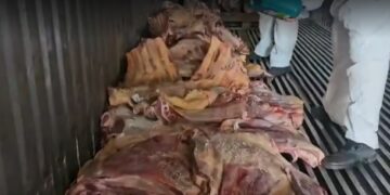 Frigorífico que vendeu carne estragada em enchente no RS para virar ração denunciou empresa ao notar que comprou carne de volta