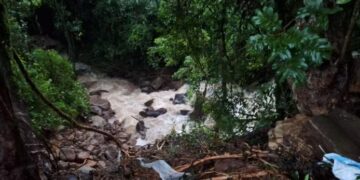 Idoso morre após ser arrastado por correnteza de córrego durante chuva em Farroupilha