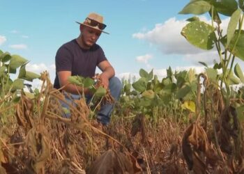 Estiagem atinge o RS e já prejudica agropecuária do estado: ‘tragédia, perda total’, diz agricultor