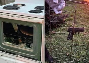 Policial esquece arma em forno elétrico, munição dispara sozinha e caso é investigado no litoral norte