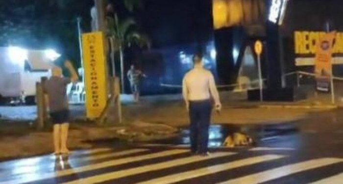 PM de folga mata cachorro da raça pit-bull a tiros em Santa Maria