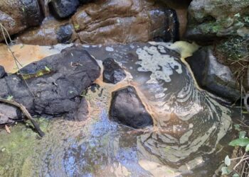 Três pessoas são flagradas praticando crime ambiental, em Antônio Prado