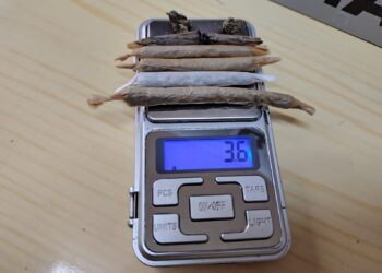 Homem de 37 anos é pego pela Brigada Militar com drogas em Nova Roma do Sul