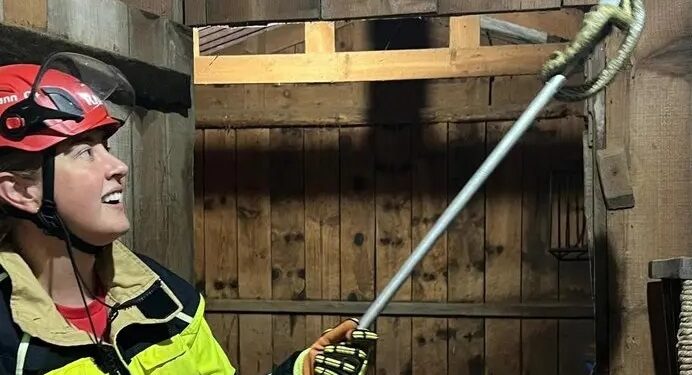 Cobra venenosa é resgatada em residência de Canela