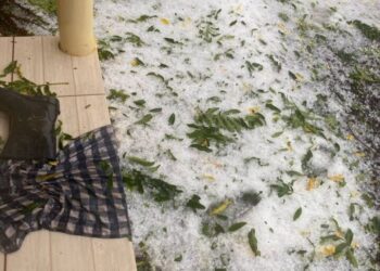 Granizo causa estragos em lavouras no interior de Vacaria