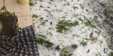 Granizo causa estragos em lavouras no interior de Vacaria