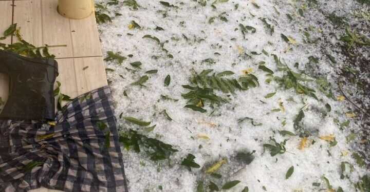 Granizo causa estragos em lavouras no interior de Vacaria