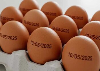 País tem recorde na produção de ovos, abate de bovinos, frango e porco, diz Governo Federal