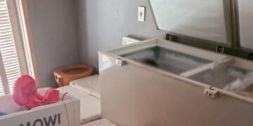 Mulher é presa suspeita de envolvimento na morte do marido, encontrado esquartejado em freezer no RS