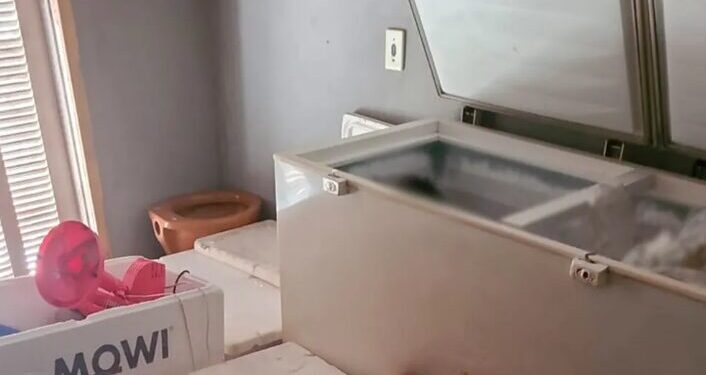 Mulher é presa suspeita de envolvimento na morte do marido, encontrado esquartejado em freezer no RS