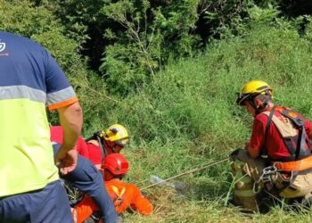 Mulher perde controle do carro e despenca de ribanceira na ERS-122 em Flores da Cunha