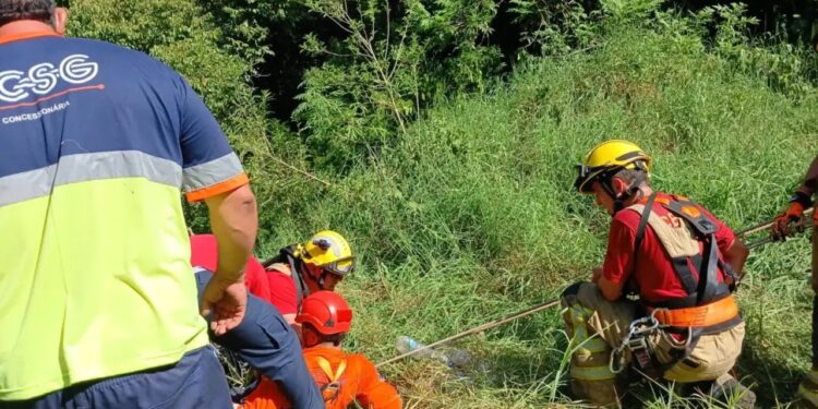 Mulher perde controle do carro e despenca de ribanceira na ERS-122 em Flores da Cunha