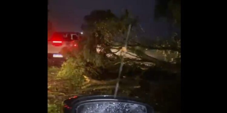 Temporal com ventos fortes causa estragos em São Martinho, no Noroeste Gaúcho