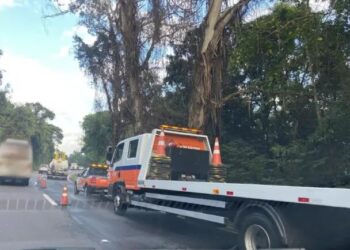 Motorista sobrevive após carro despencar de barranco de 15 metros na ERS-122, em Flores da Cunha